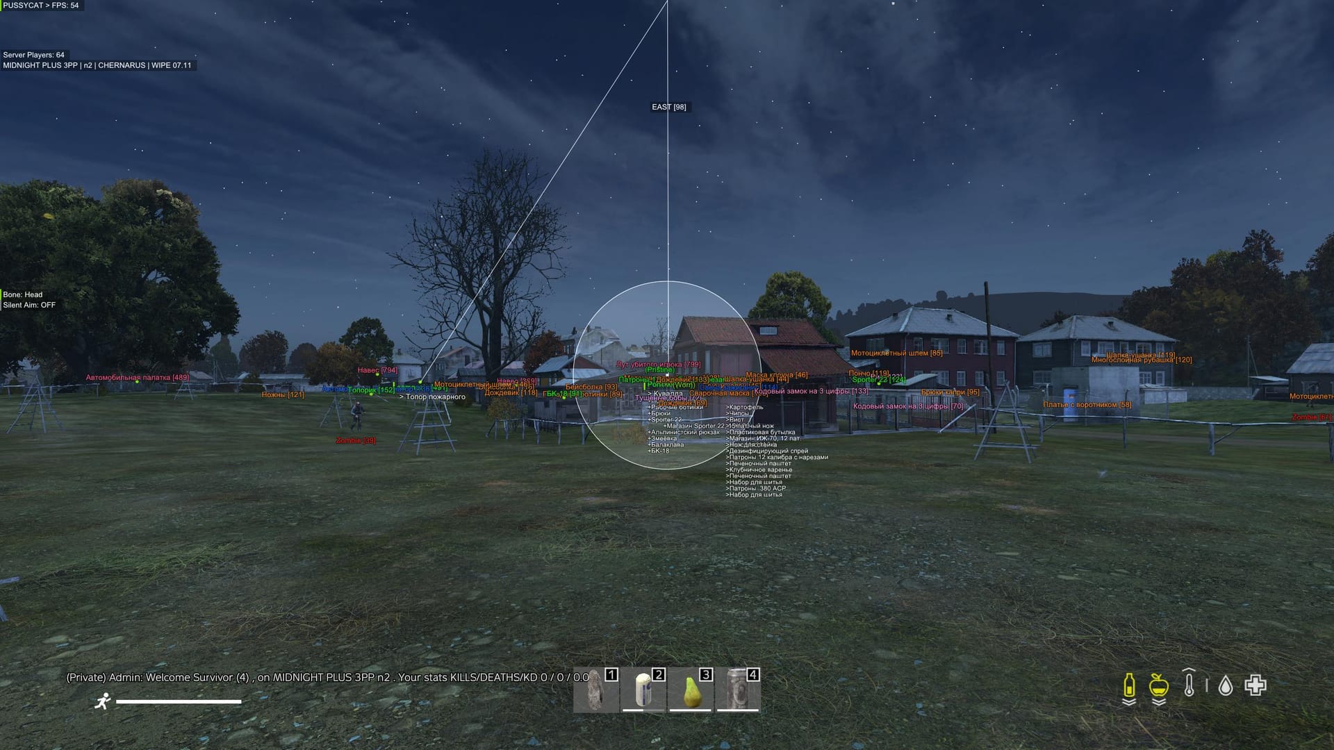 Pussycat [DayZ]